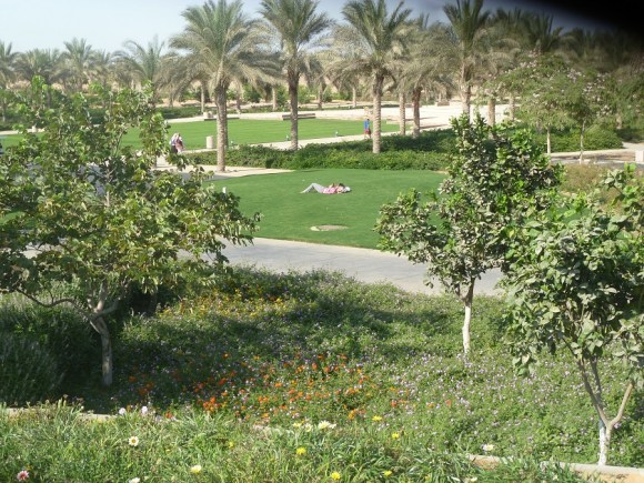 Besides modern buildings, AUC has also created a modern oasis