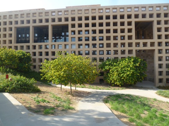 But here the grass is much more patchy -- imagine the water necessary to create green open space on the outskirts of a desert